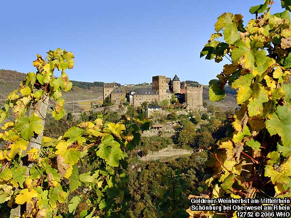 Schonburg Castle near